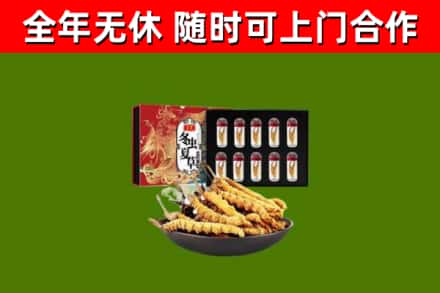 长阳县回收冬虫夏草价格
