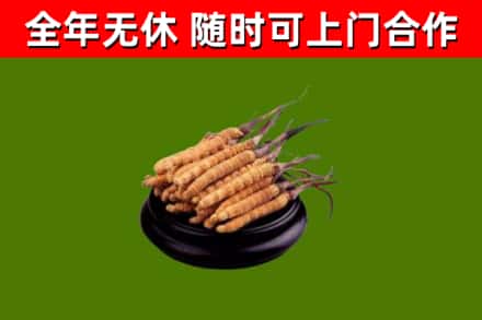 长阳县烟酒回收冬虫夏草.jpg